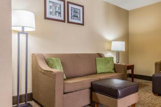 Comfort Inn Savannah Midtown - 6