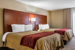 Comfort Inn Savannah Midtown - 5