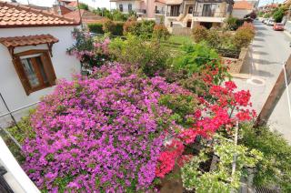 Rodon Apartments - S Avdimioti - Nea Roda - 3