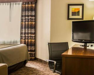 Comfort Inn Birch Run - Frankenmuth - 4