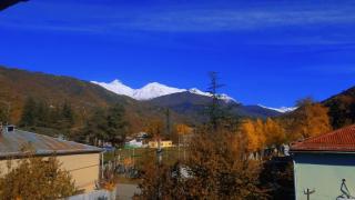 ShodaView - 1