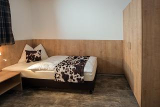 Appartement Christine - SUMMERCARD INCLUDED - Zell am See - 2