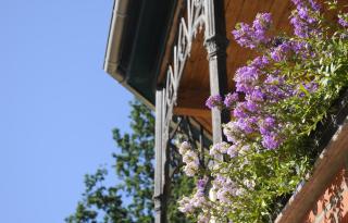 Gutshaus Alt Vorwerk - Boddin - 0