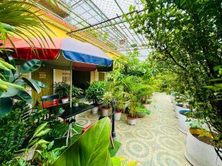 Avyanna Homestays - 3