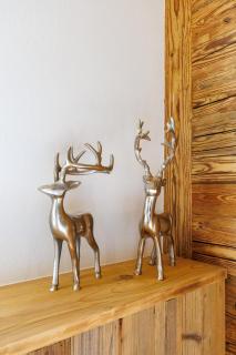 Apartment 4 - Waldfuchs - 6