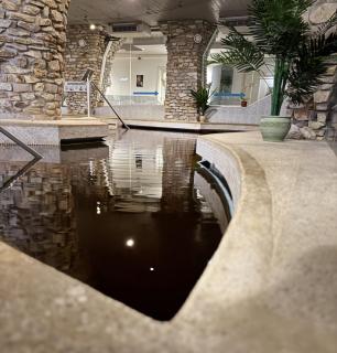 Mátyás Király Gyógy- és Wellness Hotel - 7