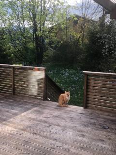 Bed and breakfast - 7