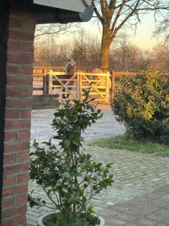Hoeve de Roskam - 5