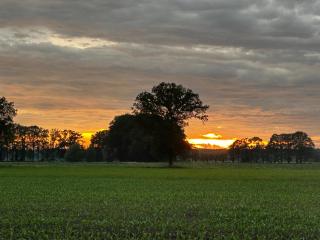 Hoeve de Roskam - 3