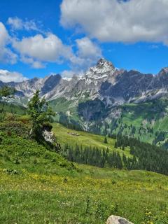Lieblingsplatz Alpine Lodge - 4