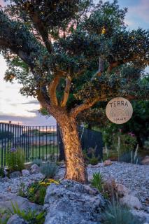Villa Elementa Krk - Luxury Four Elements Experience - 3