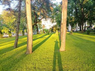 Hello nice to meet you in Moldova - 2