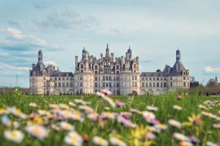 Cosy Loire et Châteaux - 2