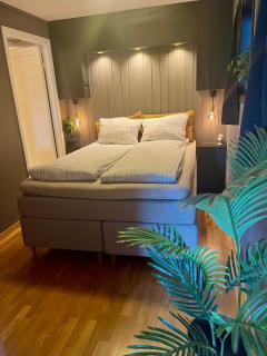 Basement apartment with private entrance and parking - 1