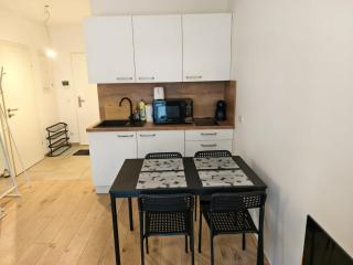 Fully furnished and equipped 1 bedroom apartment in Linz city centre - 4