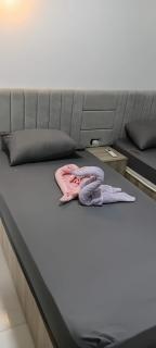 Cozy Apartment in Montazah - 6