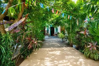 Dreamy Hostel Arugambay - 3