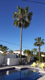 Calle de las Rosas - 9