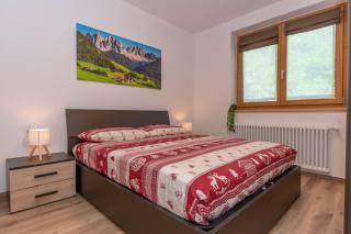 Alpine Haven - Cencenighe - 5
