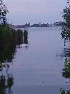 Camere langa Mamaia, Vedere si acces la lac - 0