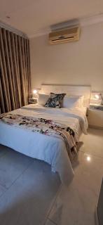 Luxury guest Apartment Fully furnished with all amenities - 0