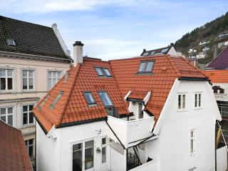 Sunny Balcony & Bathtub in Central Bergen - 5