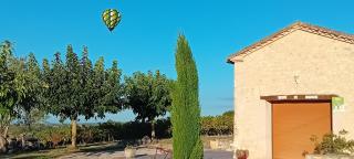 La cabane du vigneron - 9