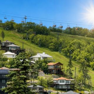 Beech Mountain Studio Near Slopes, Land of Oz & Trails - 9