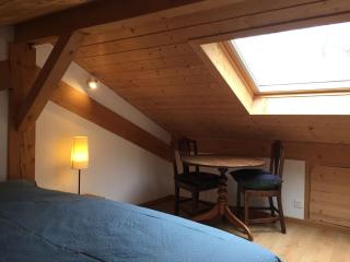 Cozy chalet with panoramic views in Leysin - 1