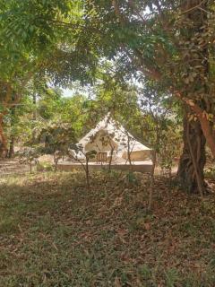 Kukus Nature Glamping - 1