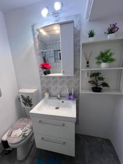Studio Anca-old town Sibiu - 5