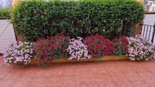 R2R - Villa Hortensia - C05B03 - 7
