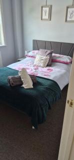 Cosy Flat In Axminster - 9