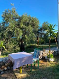 Shkolla Hostel & Camping - 2