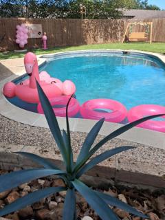 Beautiful 3BR 3BATH w Pool Patio Home Clear Lake - 9
