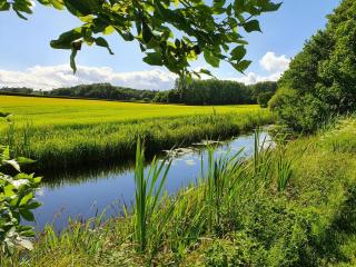 6 Bed in Llansantffraid oc-r42827 - 3