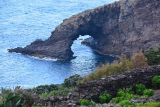 Dammuso il Limone - 8