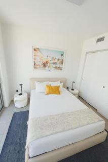 The Downtown Miami Condos - 6