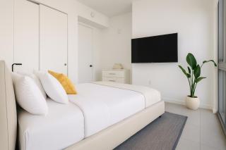 The Downtown Miami Condos - 7