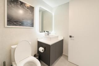 The Downtown Miami Condos - 4