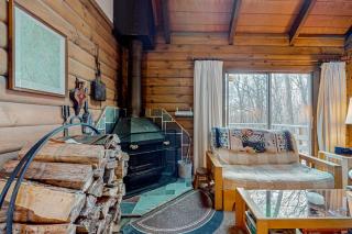 Log Ski Lodge - 4
