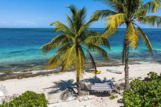 Turtle Beach 5BR Snorkeling Kayaks & Family Entertainment - 3