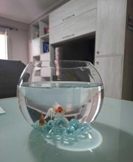 HoMe - 9