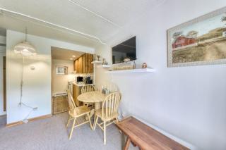 Cozy Mountainside Condo - 1
