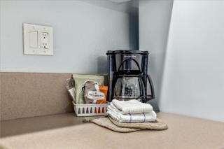 Pet-Friendly Family Suite - Kitchen and Fireplace - Pool and Hot Tub - 3