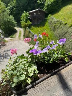 Forester's house - 7