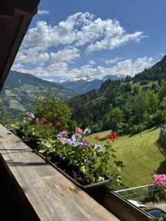 Forester's house - 8