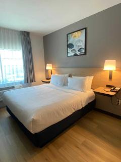 City Express by Marriott Spring - 9