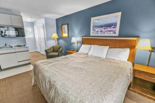 Pet Friendly Studio Condo with King Bed and Kitchenette - Pool and Hot Tub - 4