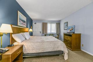Pet Friendly Studio Condo with King Bed and Kitchenette - Pool and Hot Tub - 1